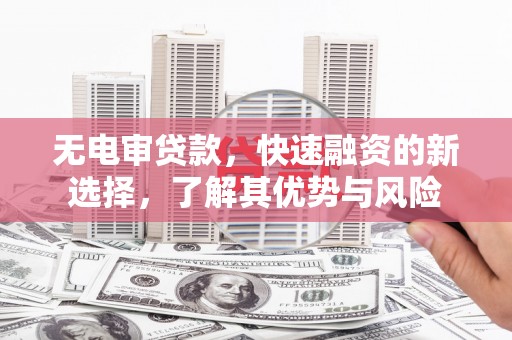 树林无电审贷款，快速融资的新选择，了解其优势与风险