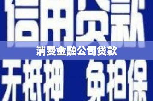 树林消费金融公司贷款