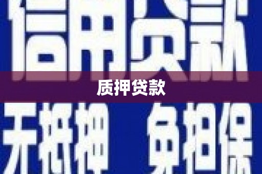 树林质押贷款