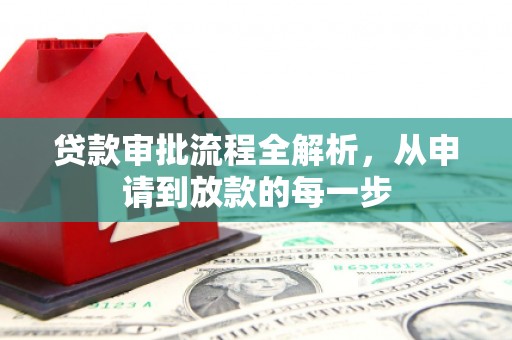 树林贷款审批流程全解析，从申请到放款的每一步