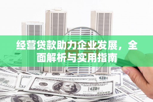 树林经营贷款助力企业发展，全面解析与实用指南