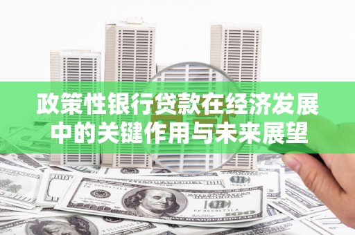 树林政策性银行贷款在经济发展中的关键作用与未来展望