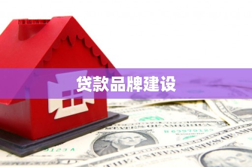 树林贷款品牌建设