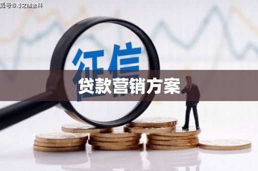 树林贷款营销方案
