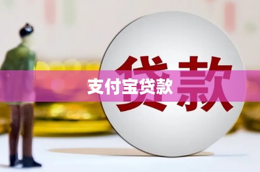 树林支付宝贷款