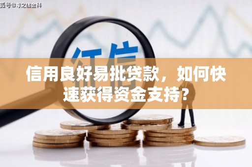 树林信用良好易批贷款，如何快速获得资金支持？