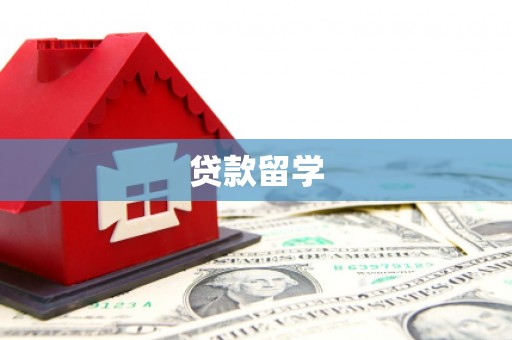 树林贷款留学