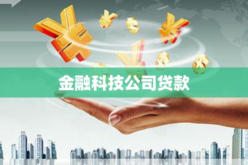 树林金融科技公司贷款