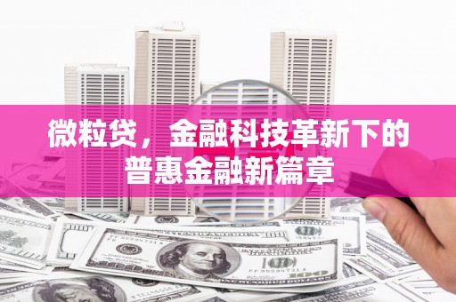 树林微粒贷，金融科技革新下的普惠金融新篇章