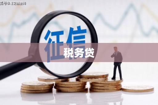 树林税务贷