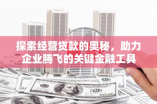 树林探索经营贷款的奥秘，助力企业腾飞的关键金融工具