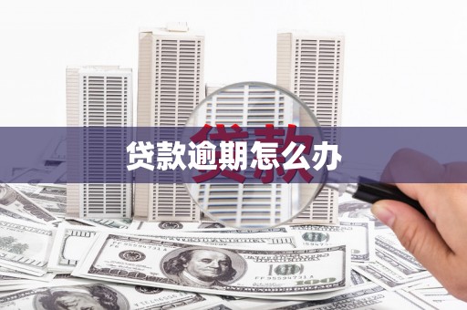 树林贷款逾期怎么办