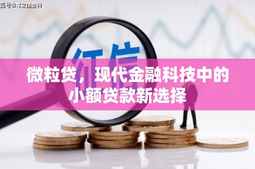 树林微粒贷，现代金融科技中的小额贷款新选择