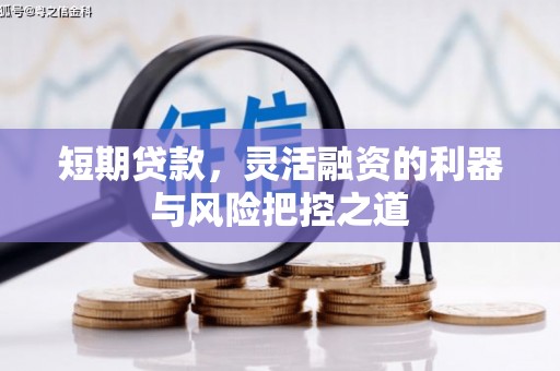 树林短期贷款，灵活融资的利器与风险把控之道