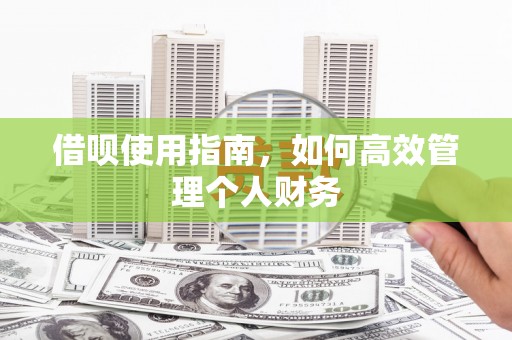 树林借呗使用指南，如何高效管理个人财务