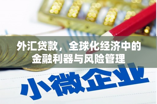 树林外汇贷款，全球化经济中的金融利器与风险管理
