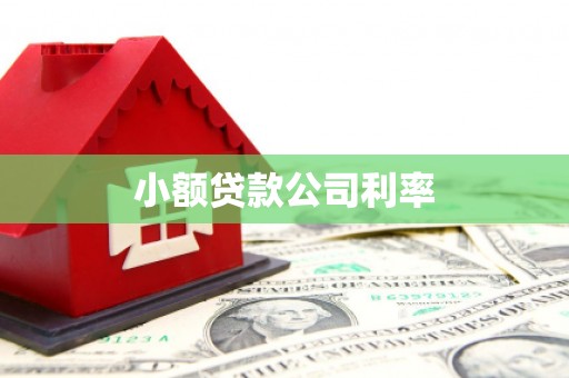 树林小额贷款公司利率