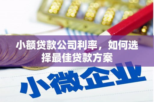 树林小额贷款公司利率，如何选择最佳贷款方案