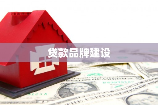 树林贷款品牌建设