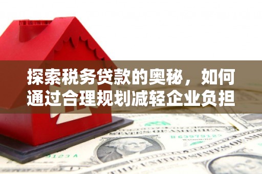 树林探索税务贷款的奥秘，如何通过合理规划减轻企业负担