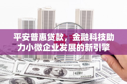 树林平安普惠贷款，金融科技助力小微企业发展的新引擎