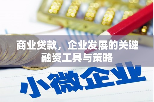树林商业贷款，企业发展的关键融资工具与策略