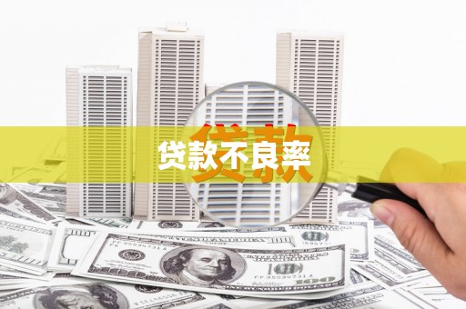 树林贷款不良率