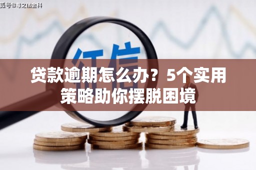 树林贷款逾期怎么办？5个实用策略助你摆脱困境