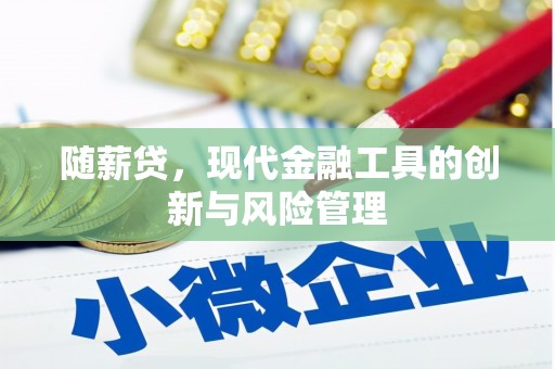 树林随薪贷，现代金融工具的创新与风险管理