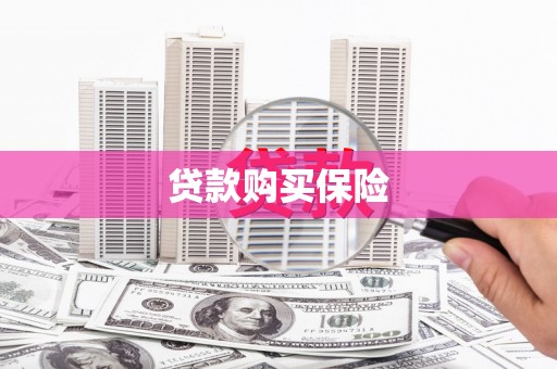 树林贷款购买保险