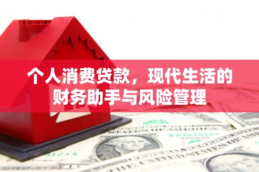 树林个人消费贷款，现代生活的财务助手与风险管理