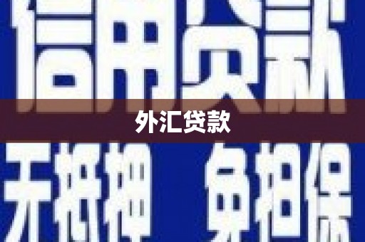 树林外汇贷款