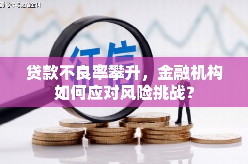 树林贷款不良率攀升，金融机构如何应对风险挑战？