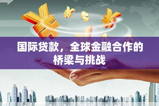 树林国际贷款，全球金融合作的桥梁与挑战