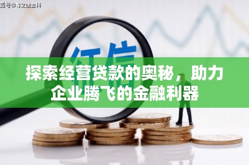 树林探索经营贷款的奥秘，助力企业腾飞的金融利器