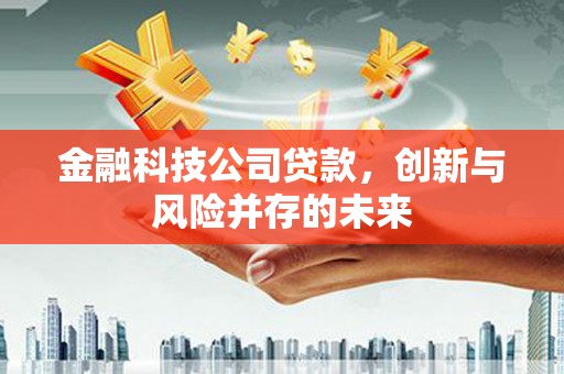 树林金融科技公司贷款，创新与风险并存的未来