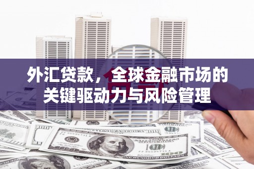 树林外汇贷款，全球金融市场的关键驱动力与风险管理