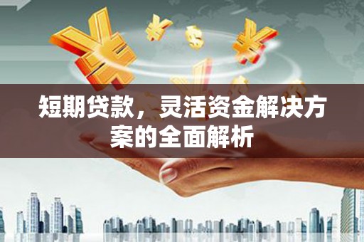 树林短期贷款，灵活资金解决方案的全面解析