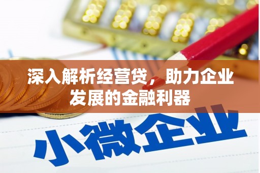 树林深入解析经营贷，助力企业发展的金融利器