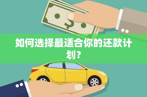 树林如何选择最适合你的还款计划？