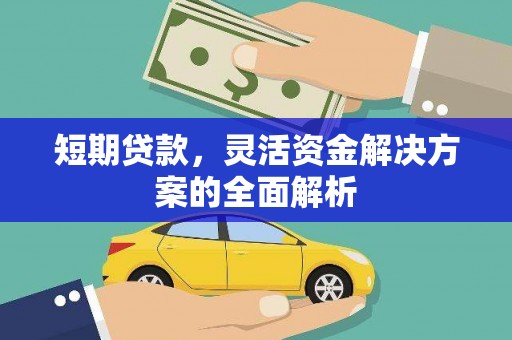 树林短期贷款，灵活资金解决方案的全面解析