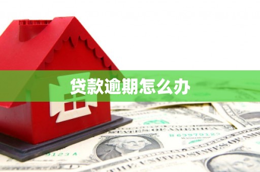 树林贷款逾期怎么办