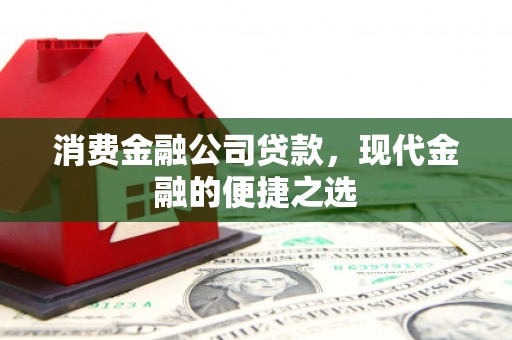 树林消费金融公司贷款，现代金融的便捷之选