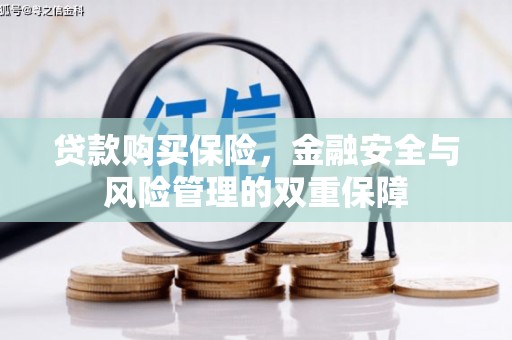 树林贷款购买保险，金融安全与风险管理的双重保障