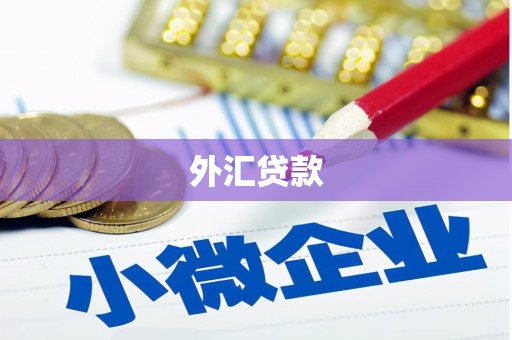 树林外汇贷款