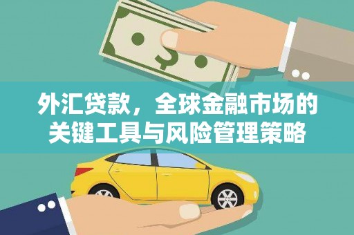 树林外汇贷款，全球金融市场的关键工具与风险管理策略