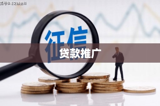 树林贷款推广