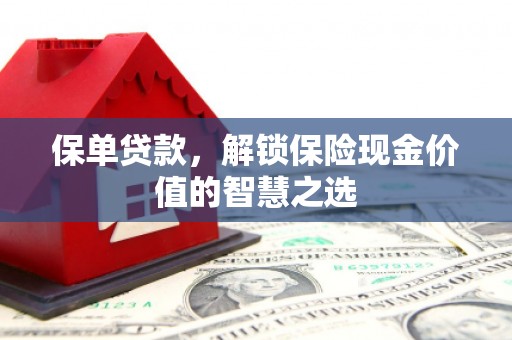 树林保单贷款，解锁保险现金价值的智慧之选
