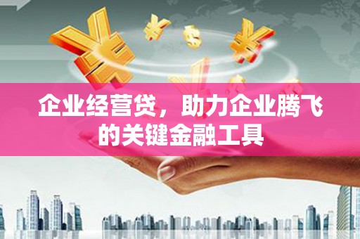 树林企业经营贷，助力企业腾飞的关键金融工具