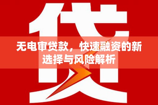 树林无电审贷款，快速融资的新选择与风险解析